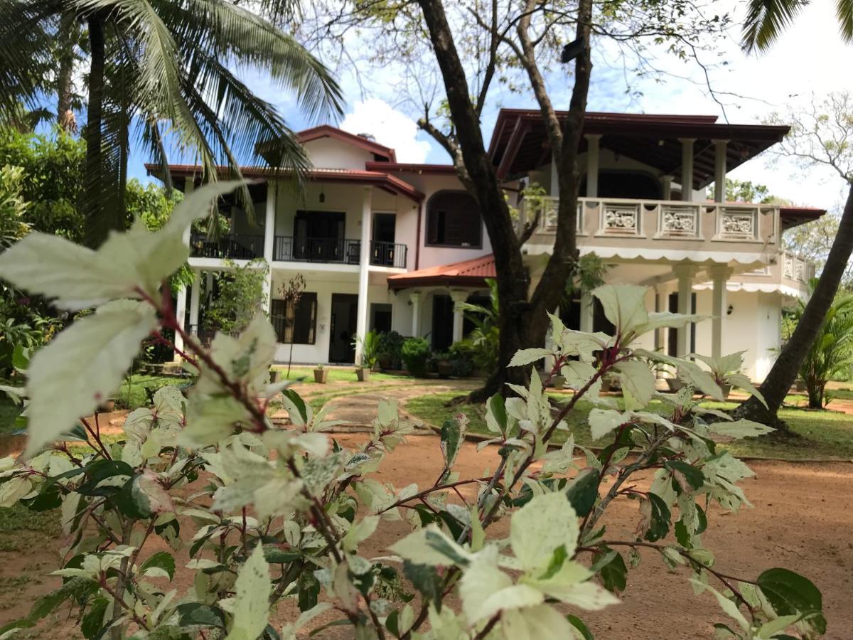 Green Edge Residences Дамбулла Экстерьер фото